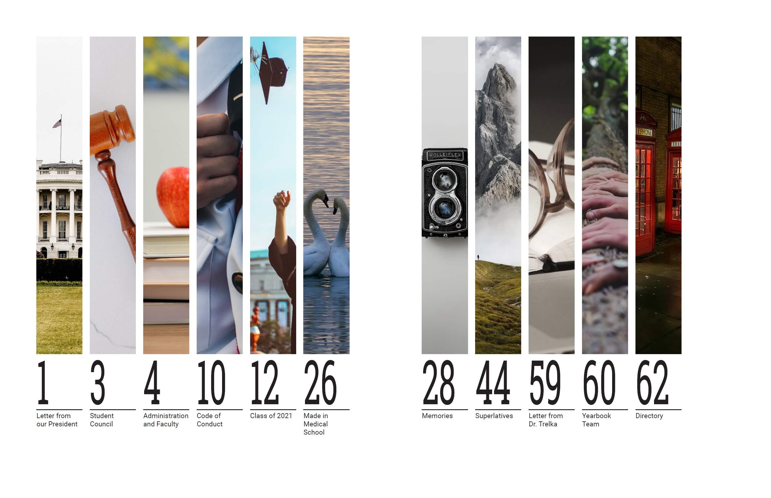 Student Profile Pages